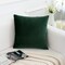 Velvet Decorative Throw Pillow Covers Cushion Cover Pillow Case for Sofa Couch Bed Chair,Soft Square Dark Green Throw Pillows 18x18 Inch,Set of 2